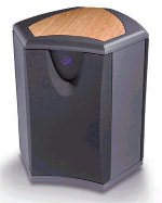  Martin Logan Descent subwoofer 240V CE, black