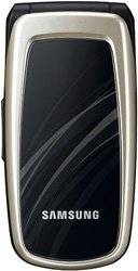   Samsung SGH-C250 Silver