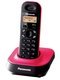  Panasonic KX-TG1401 UAL