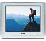  Samsung CS-29M6 WTQ