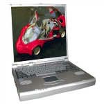 RoverBook Partner KT6 PIII-1200/128/30/CD/LAN100/F-m/LiIon/W`XP