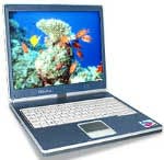  RoverBook Nautilus E410 P-M 1300/256/30/DVD-CDRW/Wifi/W