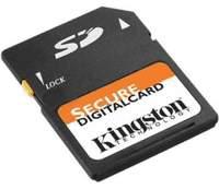   Kingston Secure Digital 1 GB