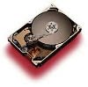   Seagate 40 GB DMA100