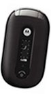 Мобильный телефон Motorola Pebl U6 Licirice Мобильный телефон Motorola Pebl U6 Licirice