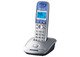 Радиотелефон Panasonic KX-TG2511 UAS Радиотелефон Panasonic KX-TG2511 UAS
