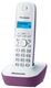  Panasonic KX-TG1611F