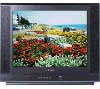 Телевизор Samsung CS-21H4 R Телевизор Samsung CS-21H4 R