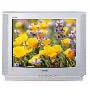 Телевизор Samsung CS-21V5 TR Телевизор Samsung CS-21V5 TR