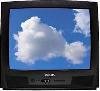 Телевизор Philips 21PT1556/21 Телевизор Philips 21PT1556/21