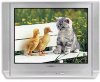Телевизор Samsung CS-29V10M Телевизор Samsung CS-29V10M