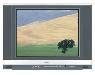 Телевизор Hitachi C21-TF750S Телевизор Hitachi C21-TF750S