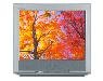 Телевизор Hitachi C21-EA550A Телевизор Hitachi C21-EA550A