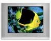 Телевизор Samsung CS-34A10HEQ Телевизор Samsung CS-34A10HEQ