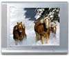 Телевизор Samsung CS-29A11SSQ Телевизор Samsung CS-29A11SSQ