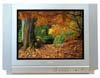  TCL DT-2190SG