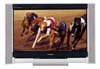 Телевизор Toshiba 36SW9UR Телевизор Toshiba 36SW9UR