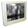 Телевизор Sharp 29HFG5RU Телевизор Sharp 29HFG5RU