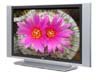 Телевизор плазменный LG RT-42PX21 Телевизор плазменный LG RT-42PX21