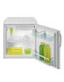 Холодильник Gorenje R 090 Холодильник Gorenje R 090
