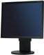 Монитор ЖК NEC MultiSync EA191M-BK Монитор ЖК NEC MultiSync EA191M-BK