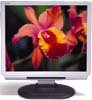   Acer AL1721Hs silver-black