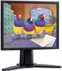 Монитор ЖК ViewSonic VP211b Black Монитор ЖК ViewSonic VP211b Black