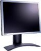   BenQ FP2091 Silver-Black