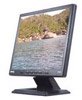 Монитор ЖК BenQ FP531 Silver-Black Монитор ЖК BenQ FP531 Silver-Black