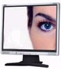 Монитор ЖК Nec 1904M Silver-Black Монитор ЖК Nec 1904M Silver-Black