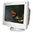 Монитор RoverScan 117PS Монитор RoverScan 117PS
